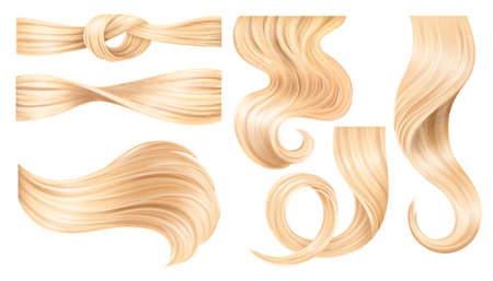 Hair Curls Realistic Setのイラスト素材