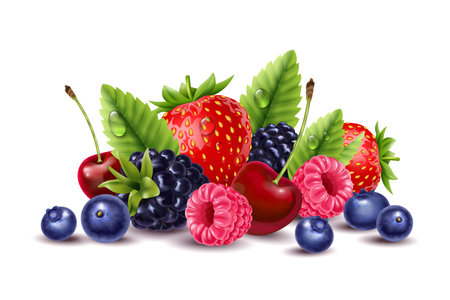 Realistic Berries Bunch Compositionのイラスト素材