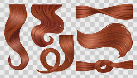 Brown Hair Curls Setのイラスト素材