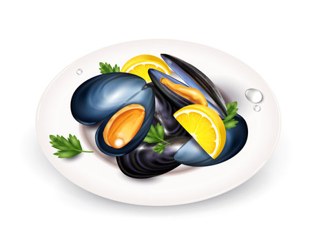 Mussels Served Meal Compositionのイラスト素材