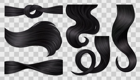 Black Hair Curls Setのイラスト素材