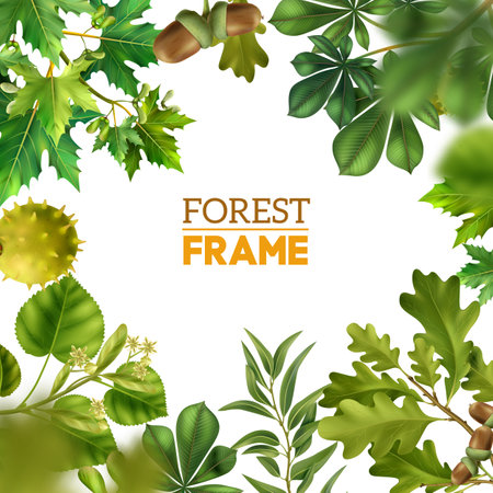 Realistic Tree Branches Frameのイラスト素材