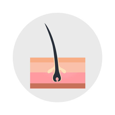 Hair Growth Iconのイラスト素材