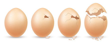 Farm Eggs Realistic Conceptのイラスト素材