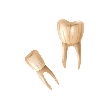 Realistic Voodoo Teethのイラスト素材