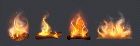 Campfire Realistic Setのイラスト素材