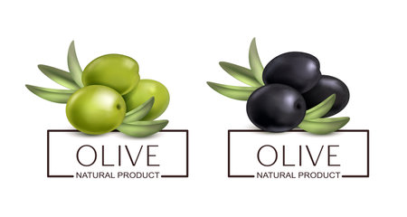 Olive Natural Product Labelsのイラスト素材