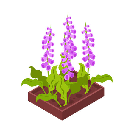Isometric Flowerbed Iconのイラスト素材