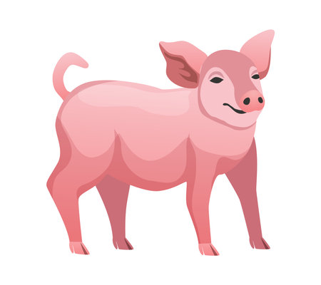 Flat Pig Illustrationのイラスト素材