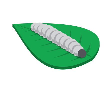 Silkworm Isometric Iconのイラスト素材