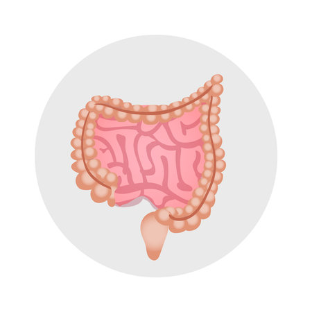 Intestines Flat Iconのイラスト素材