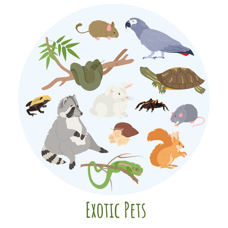 Exotic Pets And Fauna Conceptのイラスト素材