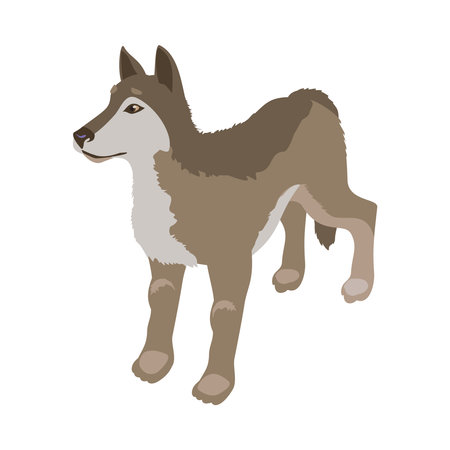 Isometric Wolf Illustrationのイラスト素材