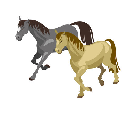 Isometric Horses Illustrationのイラスト素材