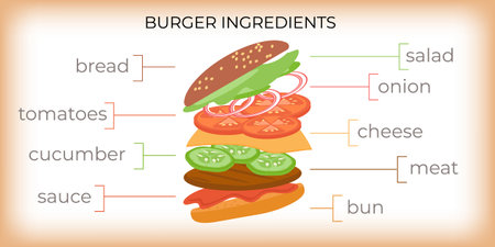 Burger Ingredients Flat Infographicsのイラスト素材
