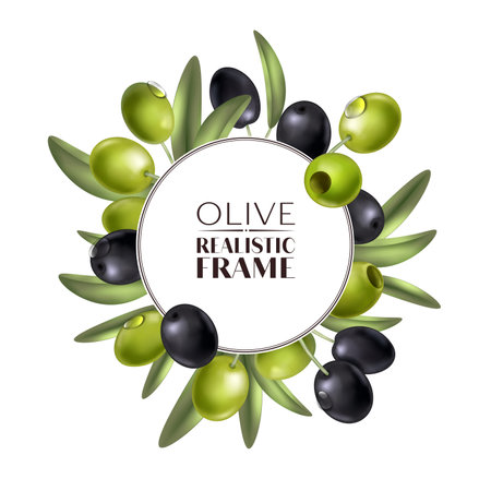 Realistic Olive Round Compositionのイラスト素材