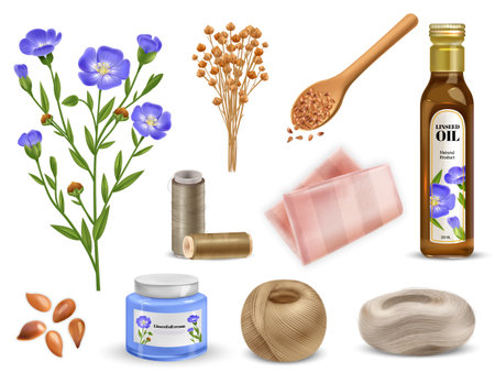 Realistic Flax Setのイラスト素材