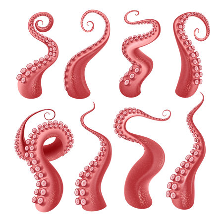 Octopus Tentacles Realistic Setのイラスト素材