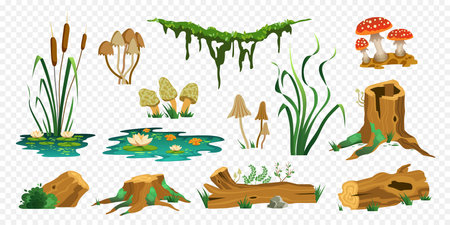 Swamp Landscape Constructor Setのイラスト素材