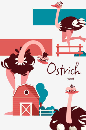Ostrich Farm Collageのイラスト素材