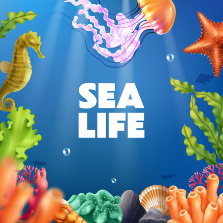 Sea Life Realistic Backgroundのイラスト素材
