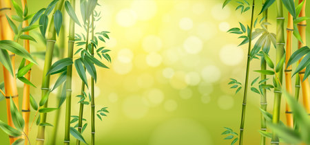 Realistic Bamboo Backgroundのイラスト素材