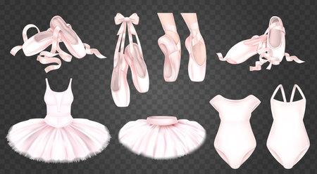Ballet Shoes Realistic Setのイラスト素材