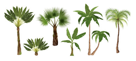 Tropical Palm Trees Setのイラスト素材