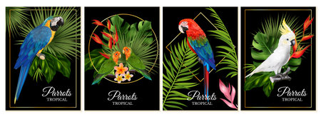 Realistic Parrots Vertical Postersのイラスト素材