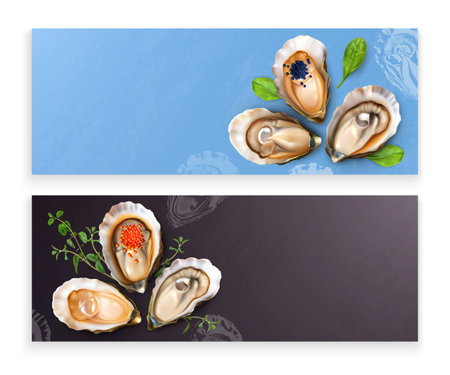 Oysters Horizontal Banners Setのイラスト素材