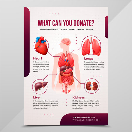 Realistic Medical Illustration of the Circulatory System Posterのイラスト素材