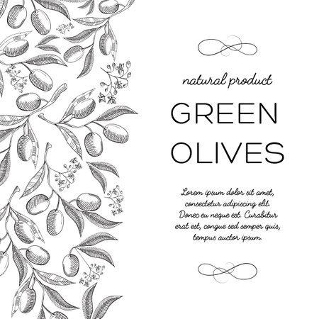 Typography informative design decorative card doodle ornated by vertical blossom with inscription in the front about green olives hand drawing vector illustrationのイラスト素材