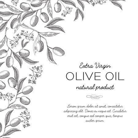 Typography design card doodle with inscription about extra virgin olive oil natural product vector illustrationのイラスト素材