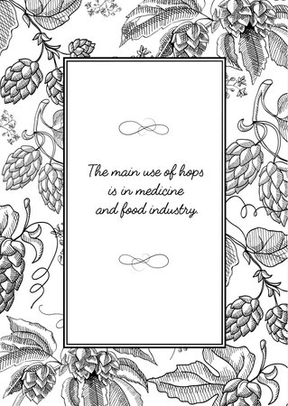 Black colored square frame with hop cartoons with berries, foliage and many decorative squiggles and inscription about main use of hopes hand drawn sketch vector illustrationのイラスト素材