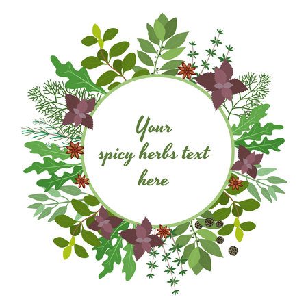 Vector illustration of fresh cooking herbs in a circular frame with oregano  parsley  basil  rosemary  rocket  sage  bay and thyme leaves around central copyspace for your text on whiteのイラスト素材