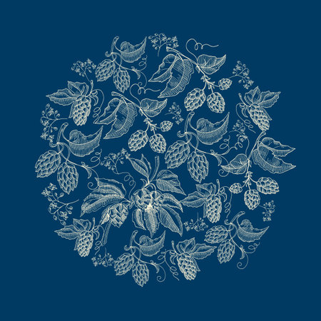 Abstract natural round wreath blue background with beer herbal hop plants in sketch style vector illustrationのイラスト素材