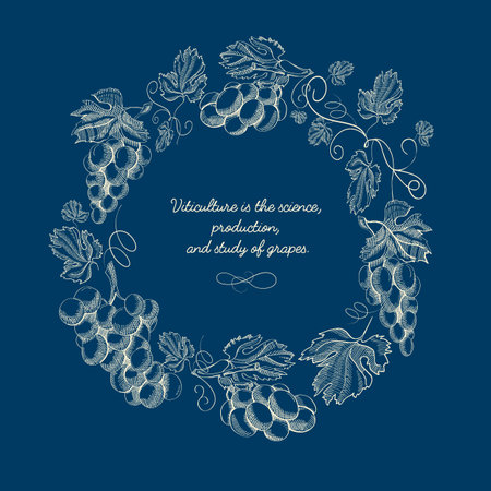 Abstract berry wreath sketch poster with bunches of grapes and inscription on blue background vector illustrationのイラスト素材