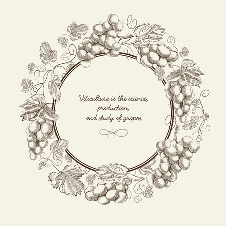 Abstract natural sketch template with text round frame and bunches of grapes on light background vector illustrationのイラスト素材