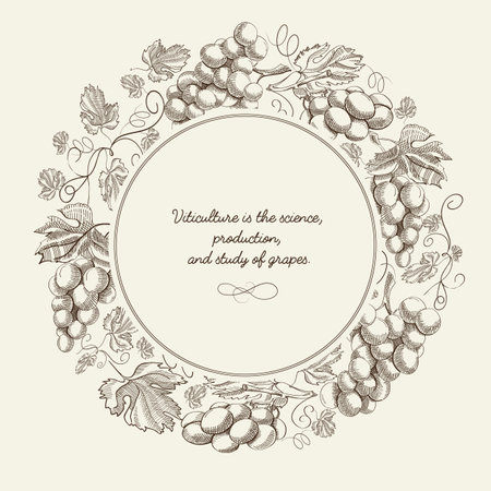 Abstract berry hand drawn poster with round frame bunches of grapes and inscription on light background vector illustrationのイラスト素材