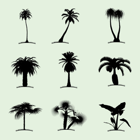 Tree Collection Flat Icon with nine tropical palms of different kind vector illustrationのイラスト素材