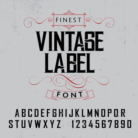 Finest Vintage Label Font Poster on the grey background vector illustrationのイラスト素材