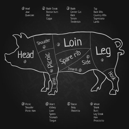 Creative Design Blackboard Poster with Detailed images of English Cut of Pork vector illustrationのイラスト素材