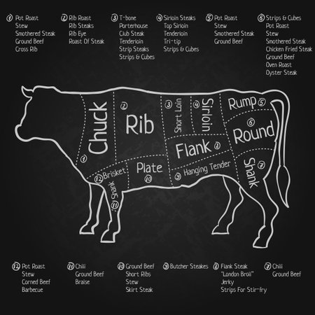 Creative Design Blackboard Poster with Detailed images of English Cut Of Beef vector illustrationのイラスト素材