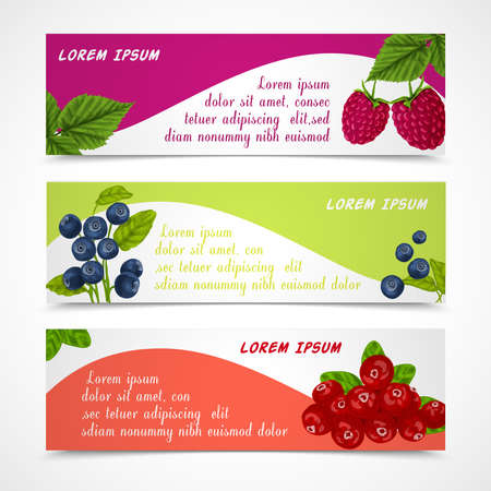 Natural organic forest berries banners set of raspberry blueberry cowberry design template vector illustrationのイラスト素材