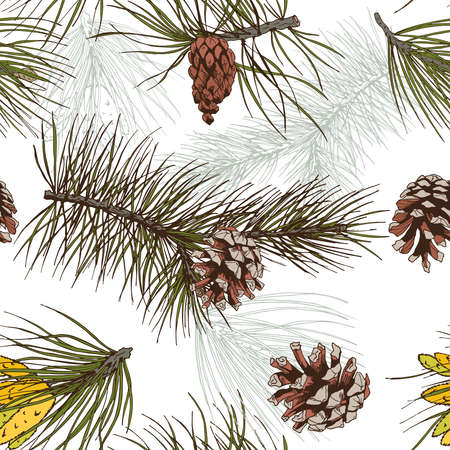 Colored pine fir branches and cones forest wood seamless pattern vector illustrationのイラスト素材