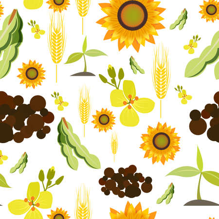 Agriculture farming organic food plant wheat sunflower seamless pattern vector illustrationのイラスト素材