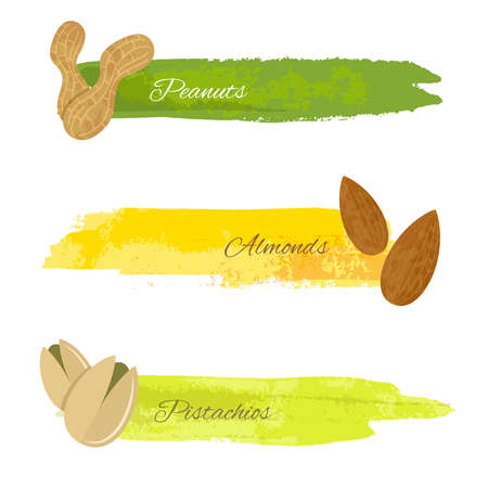 Set of grunge colorful banners with pistachio almond nuts isolated on white vector illustrationのイラスト素材