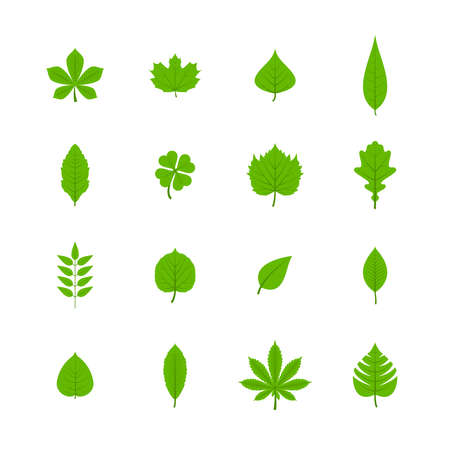 Green trees leaves flat icons set of oak aspen linden maple chestnut clover plants isolated vector illustrationのイラスト素材