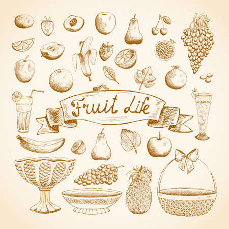 Sketches of juicy fresh fruits orange, grape, apple, strawberry, cherry and others vector illustrationのイラスト素材