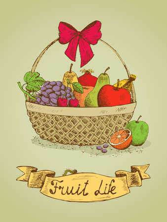 Fruit life gift basket with bow emblem vector illustrationのイラスト素材